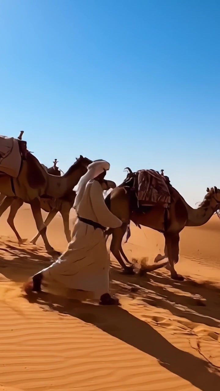 Un viaggio sereno attraverso il deserto: una guida conduce cammelli attraverso le dune sotto un cielo azzurro e limpido, catturando l'essenza dell'avventura in un paesaggio arido.