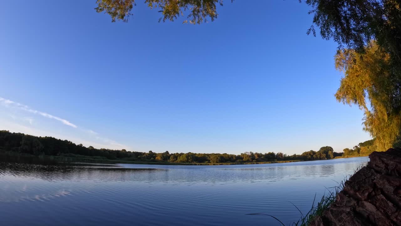 타임 스 해가 지고 나무가 있는 바다 황금 시간 푸른 하늘