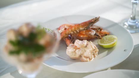 gambas marisco propagación ciudad del cabo sudáfrica