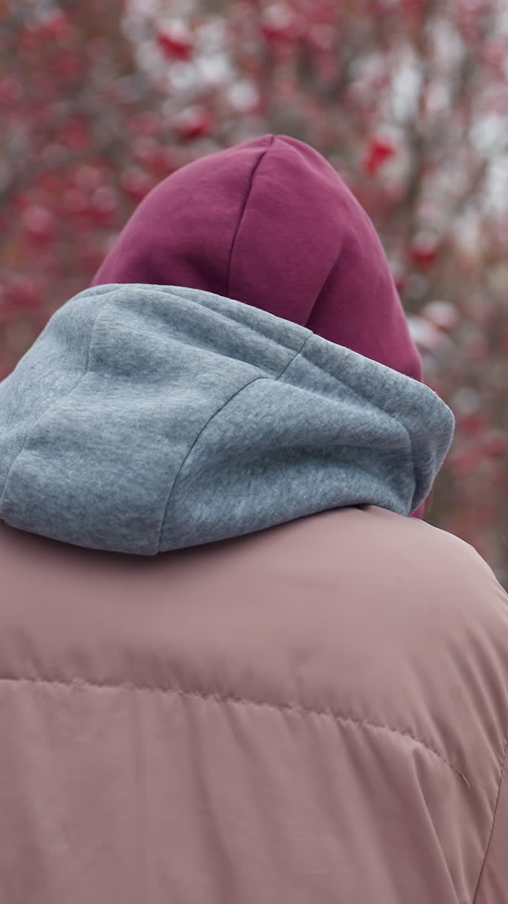 vista trasera de una persona caminando por un parque de invierno frío ajustando la gorra para el calor, suelo cubierto de nieve, árboles desnudos con bayas rojas y fondo borroso