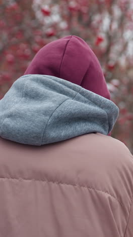 vista trasera de una persona caminando por un parque de invierno frío ajustando la gorra para el calor, suelo cubierto de nieve, árboles desnudos con bayas rojas y fondo borroso