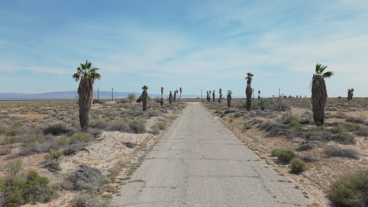 Toma de dron a baja altitud sobrevolando una calle abandonada bordeada de palmeras en Salton City, California. El Mar Salton y montañas distantes aparecen en el horizonte, revelando el tranquilo paisaje desértico