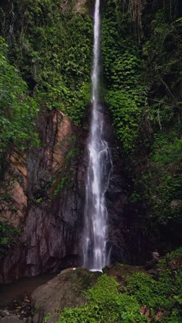 a small waterfall cascades gently over rocks deep within indonesia’s tropical jungle, surrounded by lush greenery and vibrant natural scenery creating a peaceful retreat