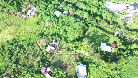 Ackerlandlandschaft-In-Sheung-Shui-Landschaft-In-Hongkong-Zur-Sommerzeit