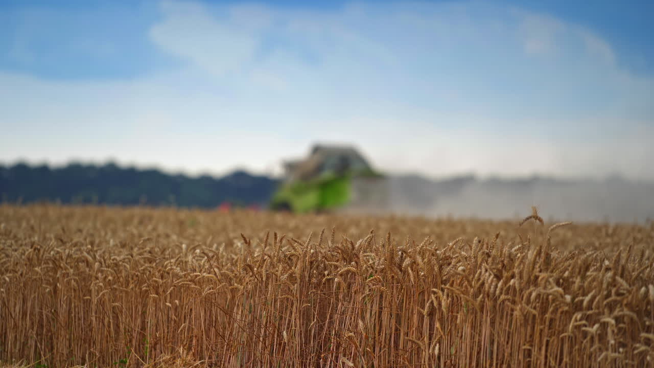 Harvester machine working in the field. Combine harvesting agriculture working on a wheat field.