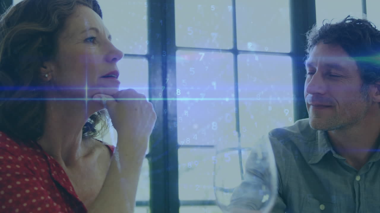 카우카스 부부에 대한 연결 네트워크의 애니메이션