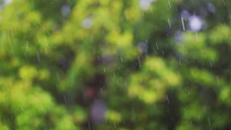 Konzentrierter-Nieselregen-Mit-Einer-Faszinierenden-Unschärfe-Aus-Waldgrün-Im-Hintergrund