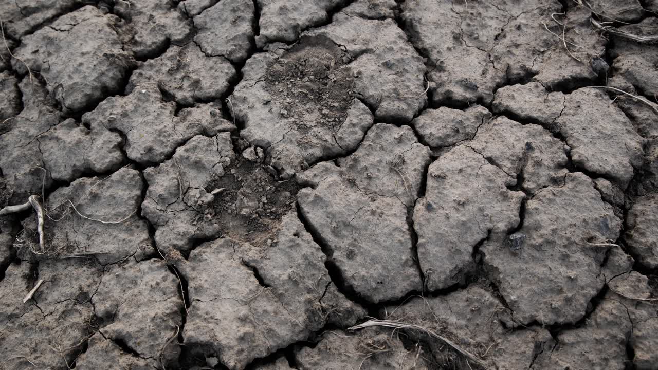Terra arida e screpolata si estende nell'inquadratura. Il terreno si apre ampiamente, rivelando un suolo riarso. Nessuna vita si muove qui, solo silenzio e polvere. Perfetto per temi di siccità, deserto o ambientali.