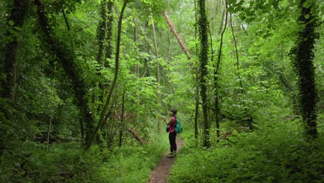 wide slow-motion of a female hiker walking along a narrow forest path, pausing to gently tap the leaves.