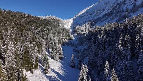 Aerial-flyover-snowy-swiss-alps-In-Amden-during-sunny-day-with-blue-sky-and-conifer-trees,-Switzerland