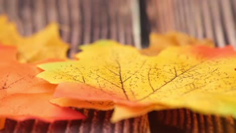 autumn leaves on wooden background