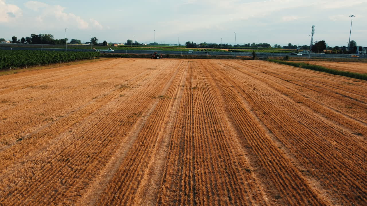 Abgeerntetes Weizenfeld mit Traktor
