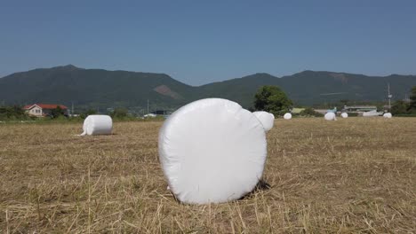 Push-in-towards-large,-round-bale-of-hay-in-Suncheon,-South-Korea-field