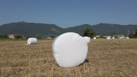 한국 순천에 있는 크고 둥근 건초더미를 향해 밀어넣다
