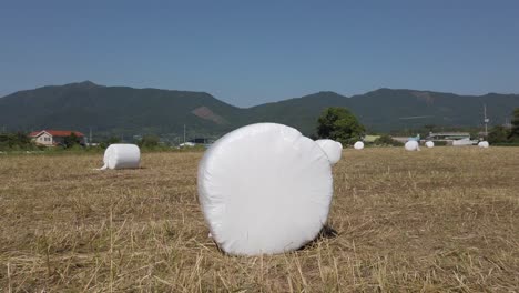 push in towards large, round bale of hay in suncheon, south korea field