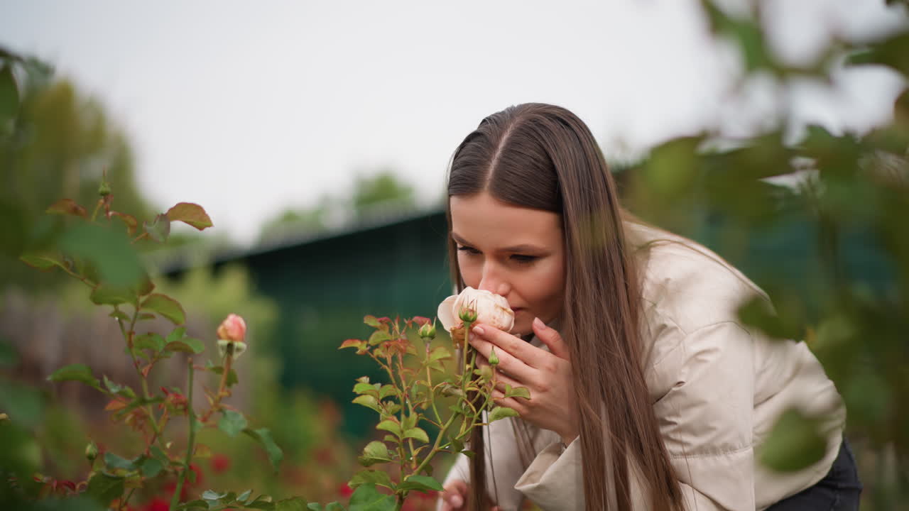 joven inspeccionando una rosa cerca de un cobertizo, expresión concentrada y cabello trenzado, primer plano con las manos ahuecando la flor, ambiente de observación con luz tenue y nublada, interés botánico e investigación