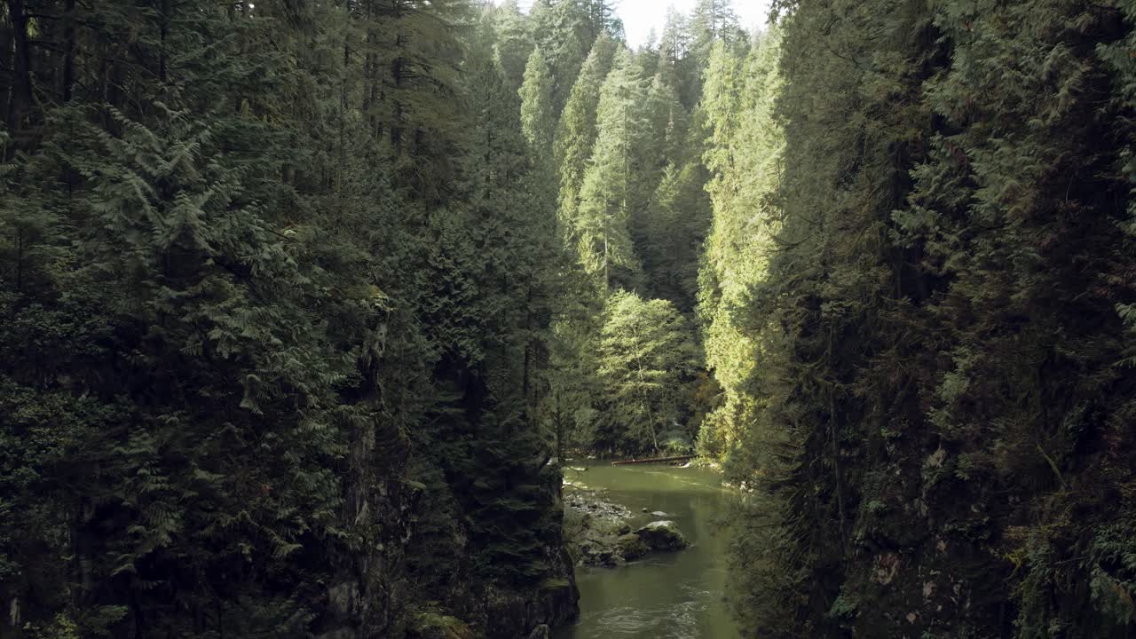 volando a través del cañón del bosque denso épico con árboles a lo largo del acantilado y los rápidos del río que fluye en columbia británica, canadá