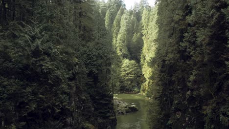 Volando-A-Través-Del-Cañón-Del-Bosque-Denso-épico-Con-árboles-A-Lo-Largo-Del-Acantilado-Y-Los-Rápidos-Del-Río-Que-Fluye-En-Columbia-Británica,-Canadá