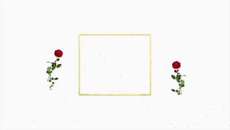 red roses with gold frame and glitters on white gradient