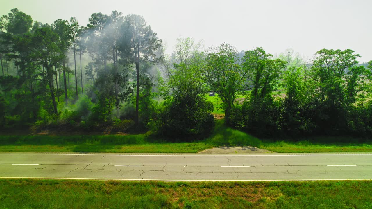 Smoke rises from a pine forest during a wildfire in Georgia, USA