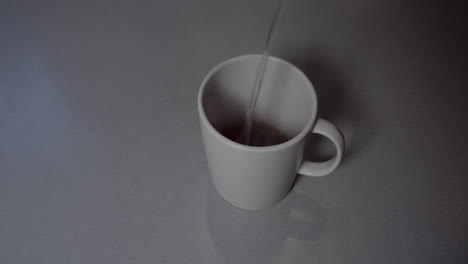 making cup of english tea with milk, ms