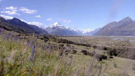 hermoso valle verde con majestuosas montañas arriba