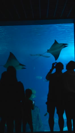 silhouettes of people watching manta rays and other marine life in a large aquarium