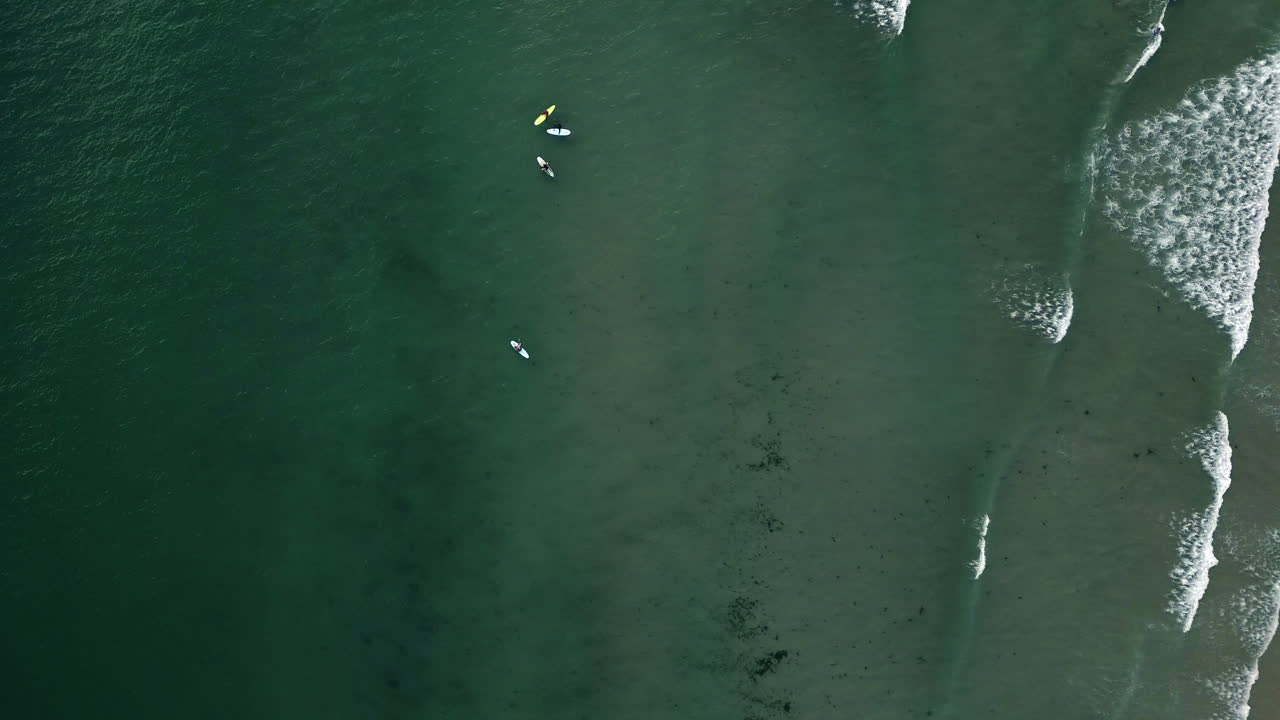 Top down aerial view of surfers waiting in calm ocean waves near the beach, showing sea texture, moving water, and a peaceful coastal atmosphere from above