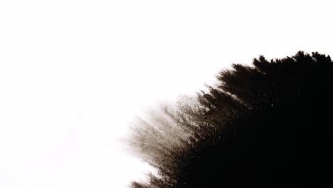 black ink drops on white background