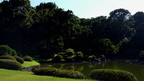 la hermosa vista en los jardines de rikugien