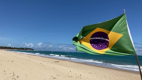 brazilian flag in porto de galinhas beach