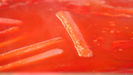 bacterial colonies growing on agar plate