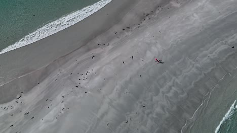 tourists walking across sandbar of diamond island in bicheno tasmania, australia aerial shot