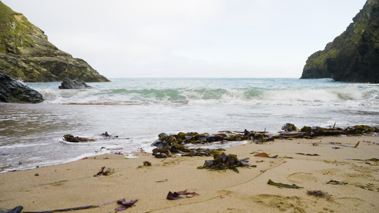 Coastal Scene with Seaweed on a Sandy Beach