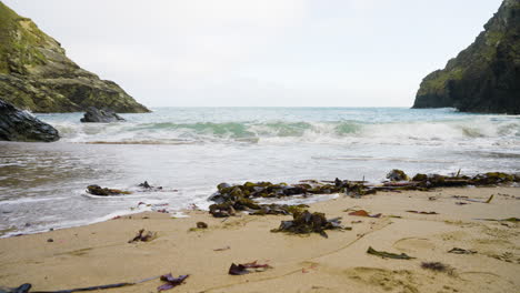 coastal scene with seaweed on a sandy beach