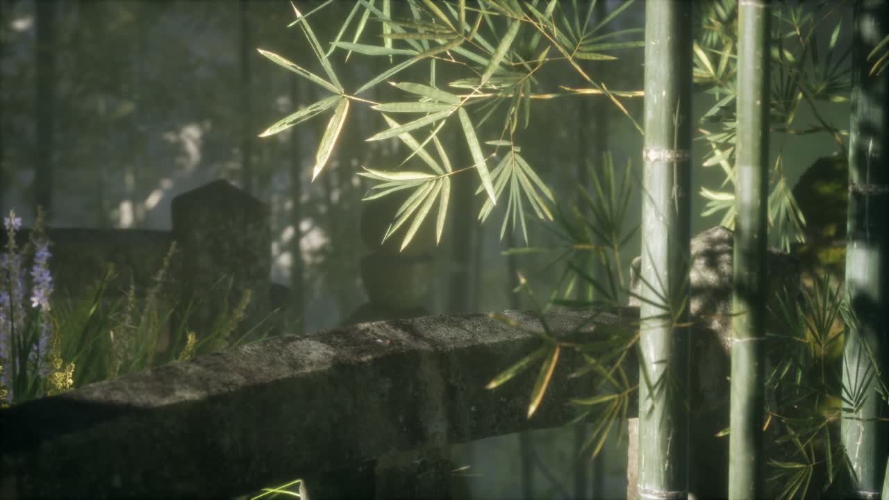 bosque de bambú de japón y hierba verde de prado con luz natural