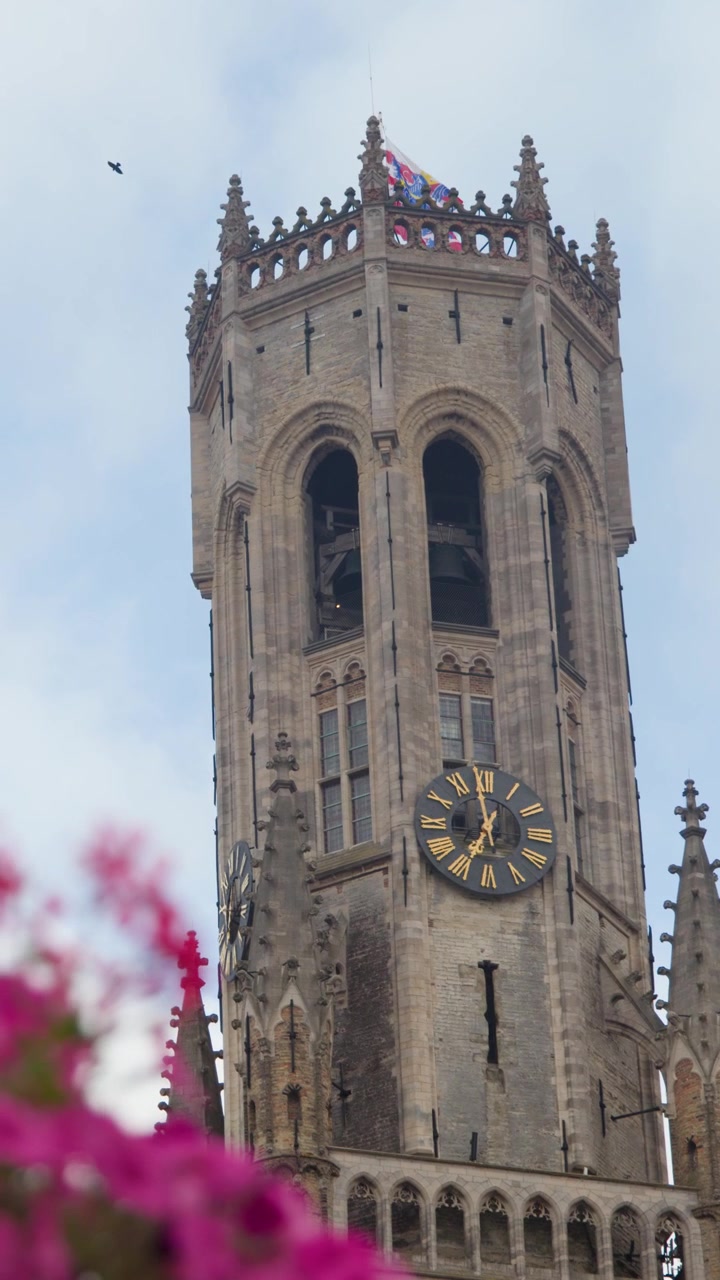 Medieval clock tower rises above pink flowers, camera tilts upward under soft daylight, Bruges