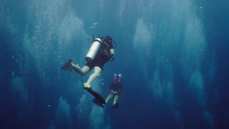 two scuba divers exploring the deep blue underwater