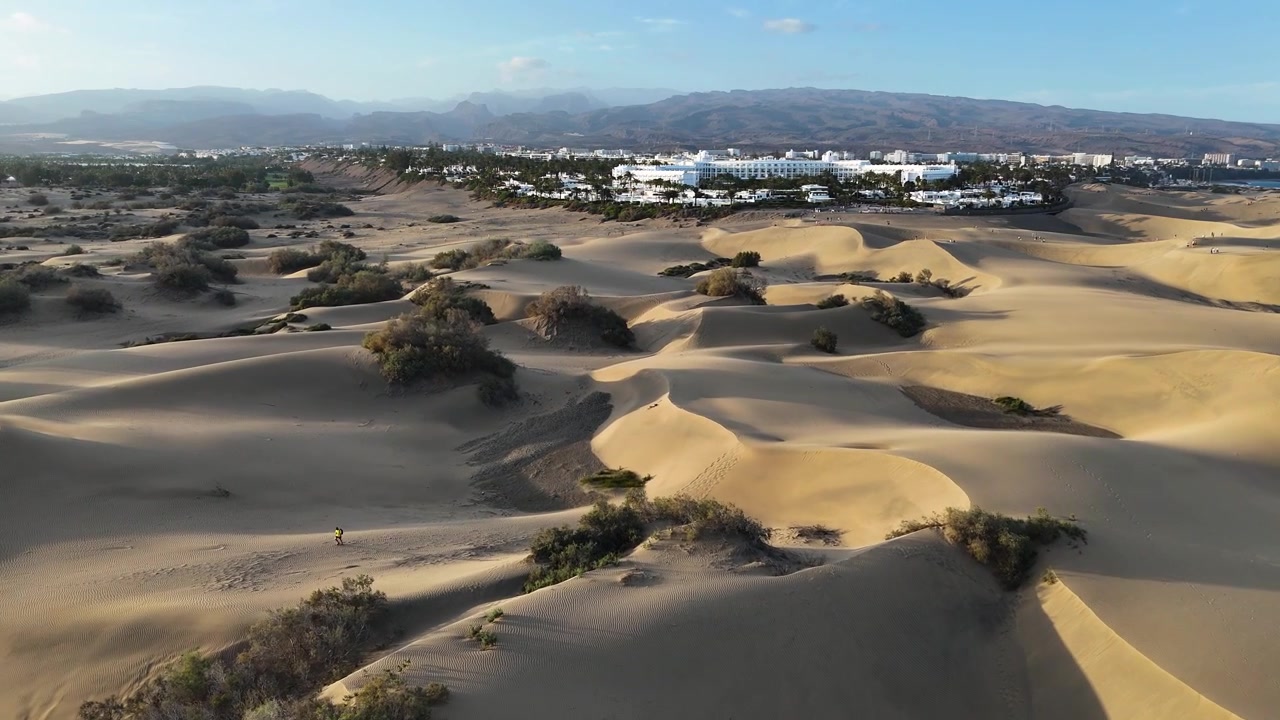 Maspalomas sand dunes with scattered shrubs and distant resorts on Gran Canaria, aerial
