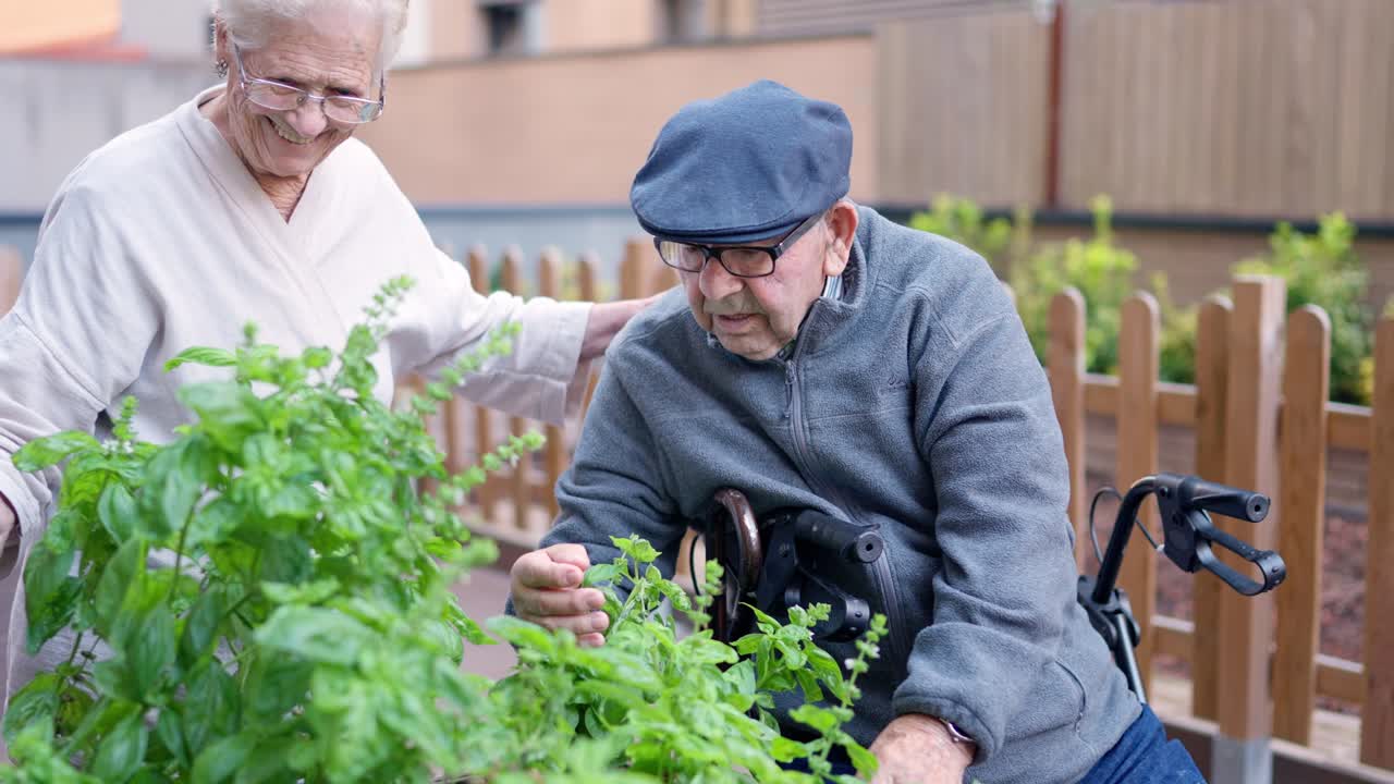 Elderly couple gardening in their backyard