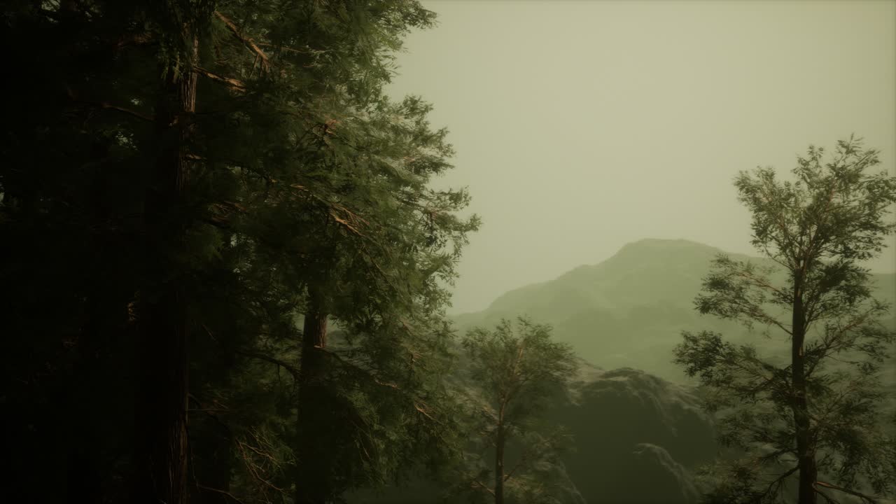 거친 산기 ?? 에 있는 안개와 소나무, 그리고 다가오는 폭풍