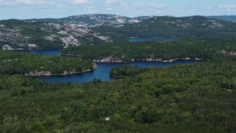 Drone-Shot-Of-Countless-Green-Trees-In-Killarney-Provincial-Park,-Canada