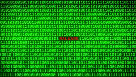 palabra de malware revelando en la pared de código binario verde entre el fondo de la matriz de datos binarios aleatorios