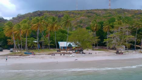 Cocoteros-Y-Cabañas-En-La-Playa-En-La-Isla-De-Providencia,-Colombia