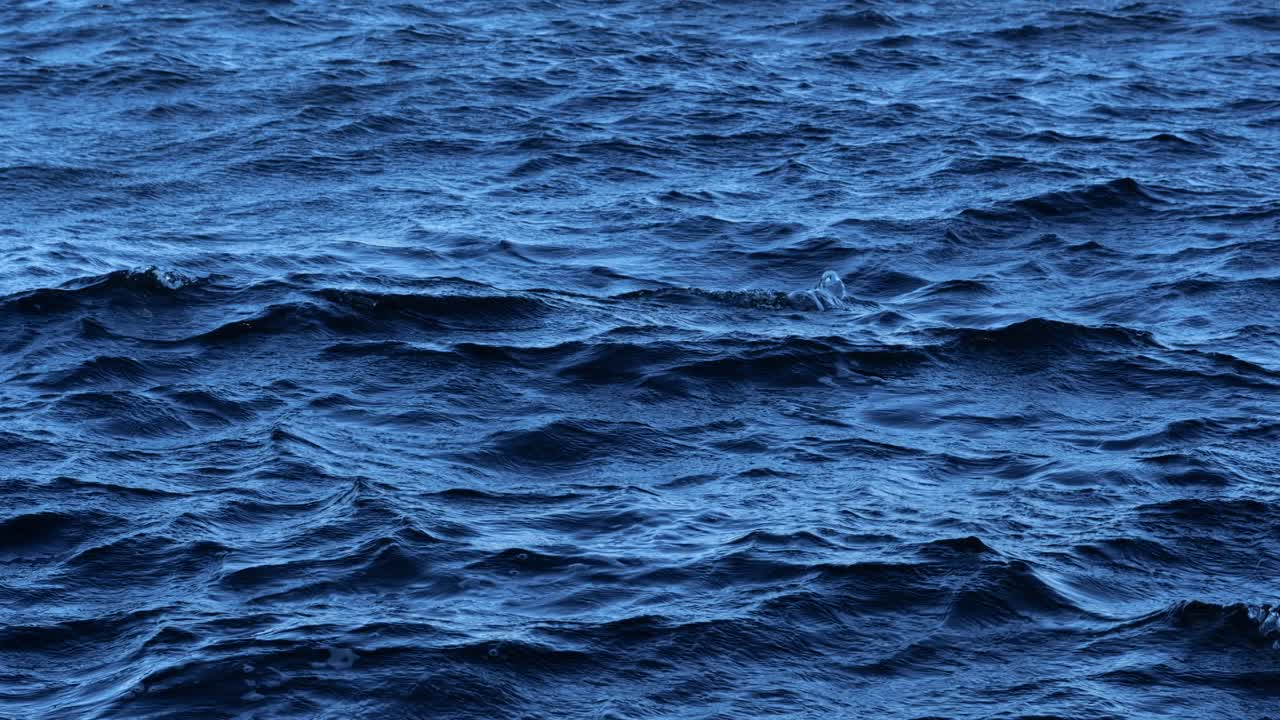 cerca de la superficie del agua del océano con olas que se mueven en el viento