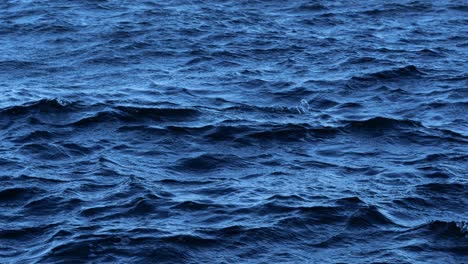 close up of ocean water surface with waves moving in the wind