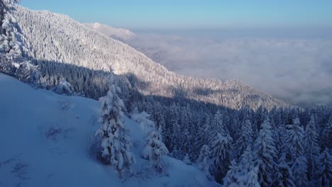 Immerse-in-the-breathtaking-winter-landscape-as-the-drone-glides-over-snow-covered-trees-on-the-mountain-peak,-beneath-a-sea-of-clouds