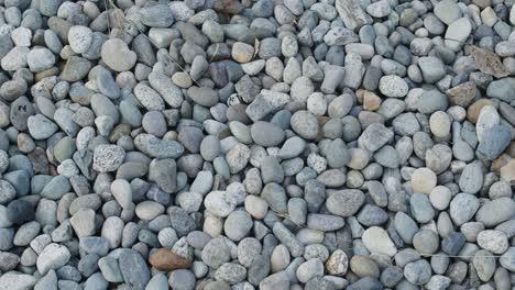 hundreds of pebbles, rounded rocks