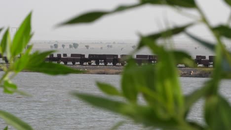 empty rail wagons on tracks seen through bokeh green tree branches in sindh, pakistan