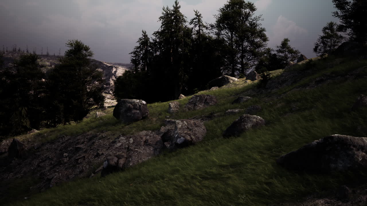 una ladera de hierba con rocas y árboles